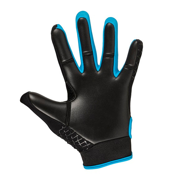 Karakal Web Gaelic Glove Blue 2.0