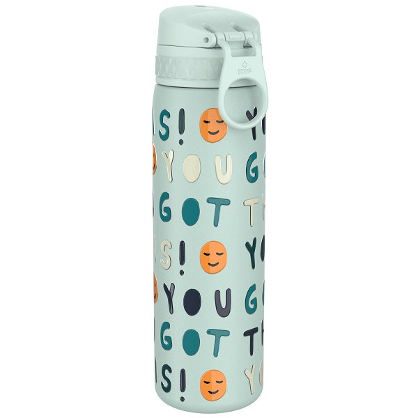 Ion8 Slim Vacuum Insulated Water Bottle You Got This